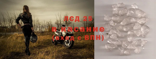 СК Горнозаводск