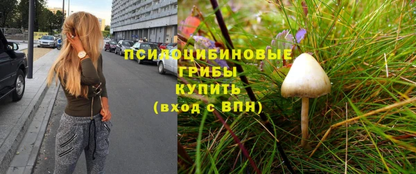 СК Горнозаводск