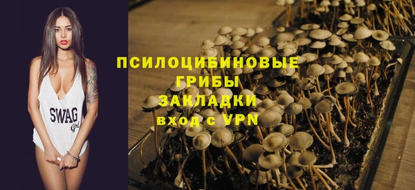 mix Горняк