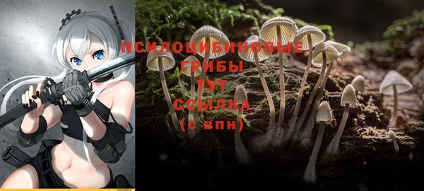 СК Горнозаводск