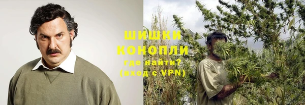 прущие крисы Вяземский