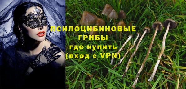 mix Горняк