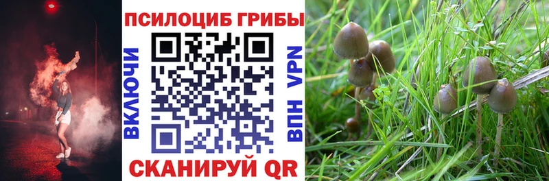 Галлюциногенные грибы ЛСД  Купить закладки  Малгобек 